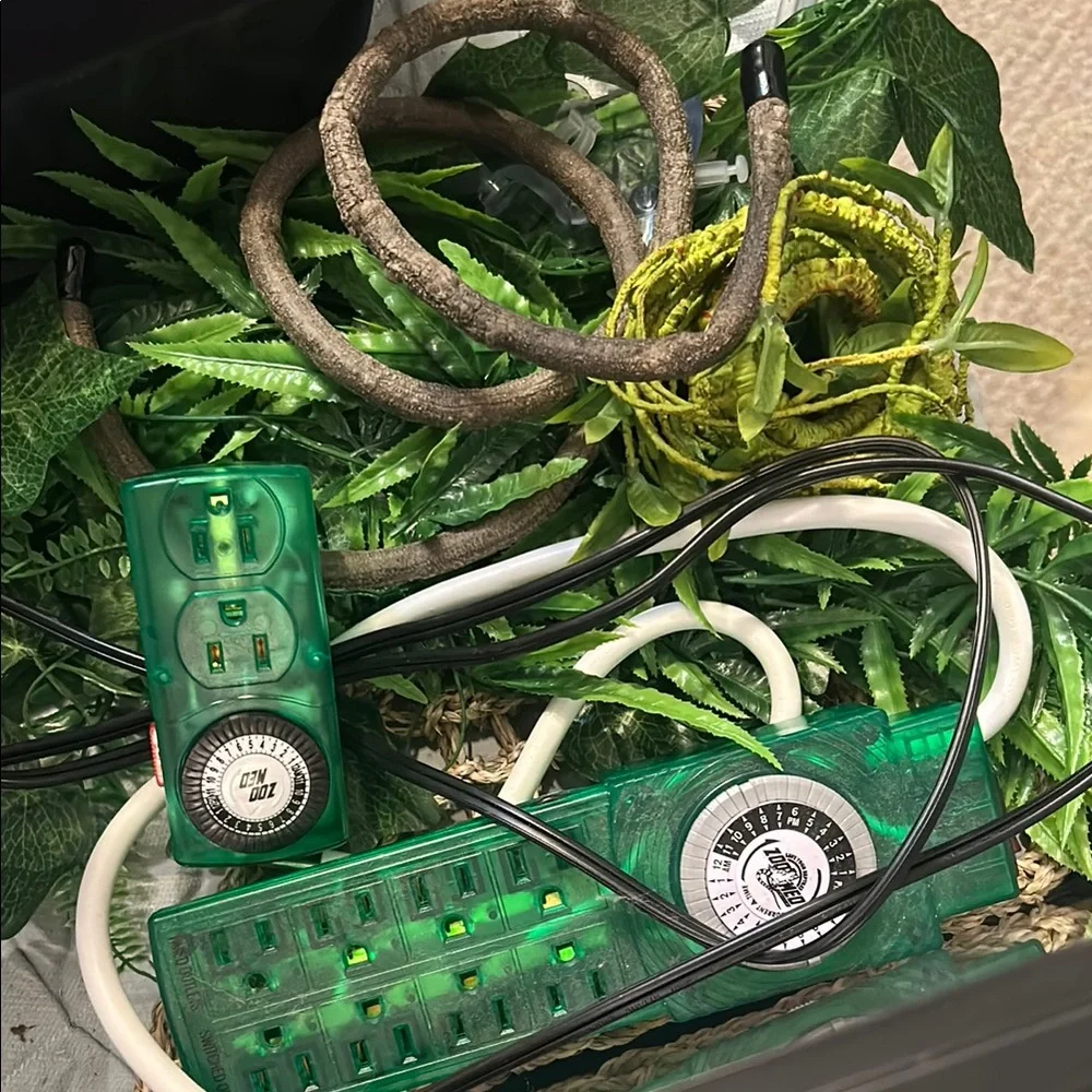 Reptile Terrarium Kit with Black Frame